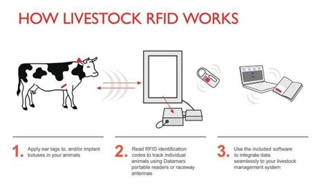 rfid wildlife animal tracking|rfid for animal tracking.